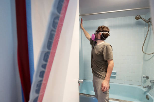 Mold Remediation for Vacation Homes in Mount Kisco, NY