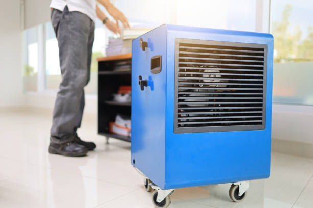 Best Basement Mold Removal  in Mount Kisco, NY